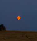 Blood Moon In The Rockies
