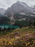 Above The Lake