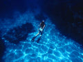 Underwater Reflections